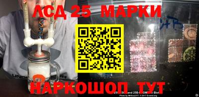 прущие грибы Будённовск