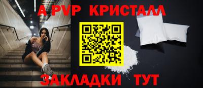 прущие грибы Будённовск