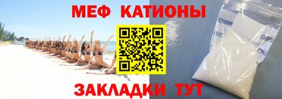 прущие грибы Будённовск